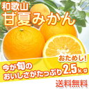 和歌山県産 お試し!訳あり 甘夏みかん あまなつ ご自宅用 2.5kg(傷あり サイズ不揃い シミ 汚れあり) 送料無料(北海道、沖縄除く)