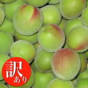 【予約受付開始】【お試し】和歌山県産 訳あり 南高梅 青梅 1kg 送料無料 サイズ不揃い 傷あり 南高 あおうめ 梅酒 梅干し 紀州南高梅 6月中に入荷あ次第...
