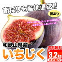 和歌山県産 訳あり イチジク いちじく 3.2kg【400g×8パック】送料無料 訳ありご自宅用なのでジャムやコンポートにも使える生いちじく 無花果　【予約 8月中旬頃より順次発送】