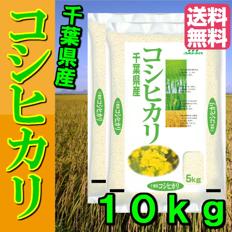 米 10kg 送料無料 令和4年産 千葉コシヒカリ(5kg×2)10kg【39】