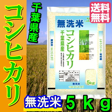 米 5kg 送料無料 無洗米 令和元年産 千葉コシヒカリ5kg【無洗米 5kg 送料無料】【こしひかり 5kg 送料無料】【5キロ コシヒカリ】【送料無料 令和 無洗米】＼コシヒカリの粘り・甘みが大人気♪／＼甘みと粘りの関東コシヒカリ(お米の優良産地)／