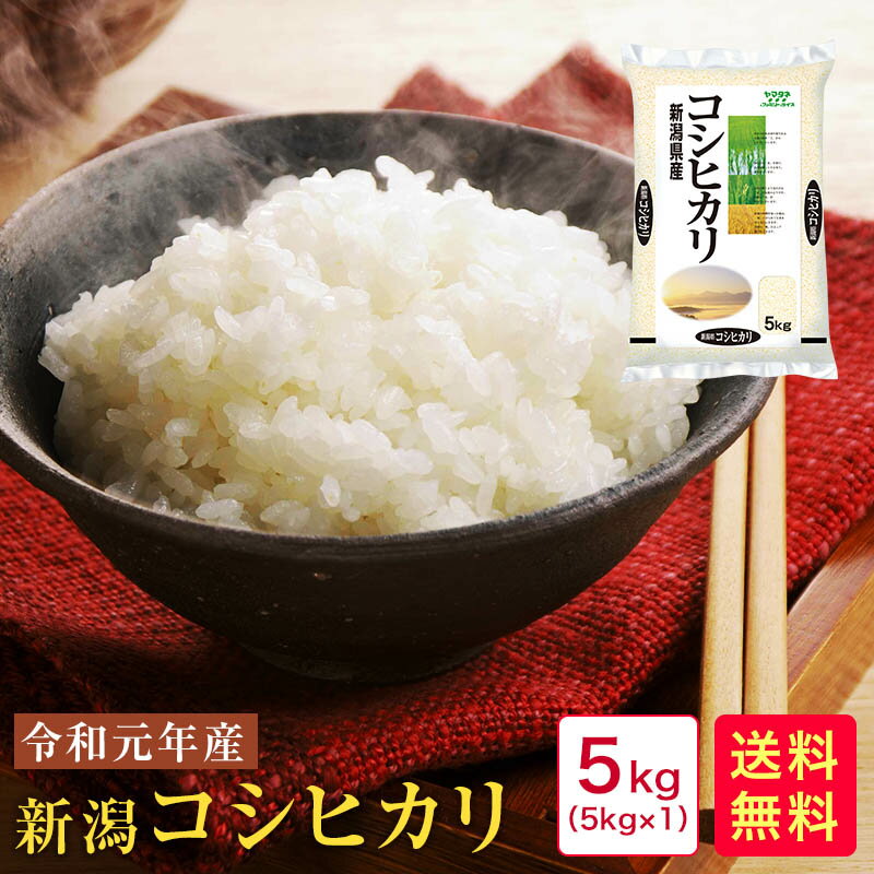 【3/5限定】米 5kg 送料無料 令和元年産　新潟コシヒカリ5kg【コシヒカリ 新潟県産】【新潟 コシヒカリ 5kg】【新潟 こしひかり 5kg】【こしひかり 5kg 送料無料】【こしひかり 新潟】?やっぱり旨い！新潟産♪／