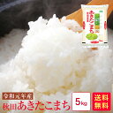 【お買い物マラソン】米 5kg 送料無料 令和元年産　秋田あきたこまち5kg＼甘み、粘り、噛みごたえのバランスがとれたお米です／【あきたこまち 5kg 送料無料】【米 5kg 送料無料 あきたこまち】【5キロ 米】【5キロ 送料無料】★リピーター続出！根強い人気★