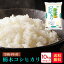 米 10kg 送料無料 令和5年産 栃木コシヒカリ10kg(5kg×2）【66】