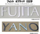 ステンレスヘアーライン仕上げ4mm厚切り文字表札(裏面ビスだし式)