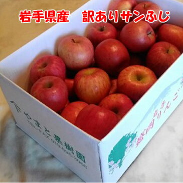 【送料無料】岩手県産 産地直送! ご自宅用 訳ありサンふじりんご10kg(30〜48玉)