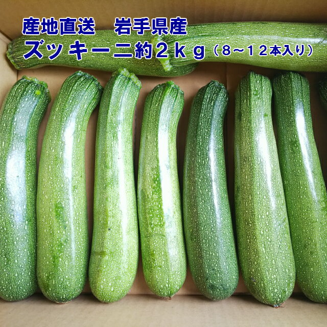 【6月中旬頃から発送予定】【送料無料】岩手県産　産地直送♪ズッキーニ約2kg（8〜12本入り 夏野菜 お得です！