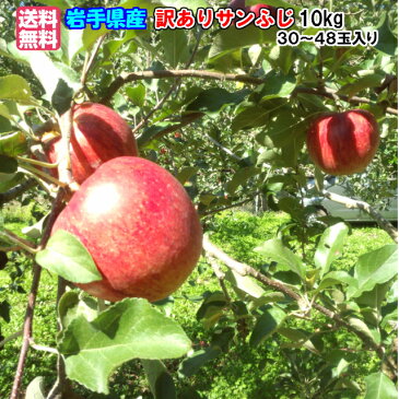 【送料無料】岩手県産 産地直送! ご自宅用 訳ありサンふじりんご10kg(30〜48玉)