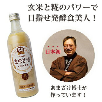 ヤマト醤油味噌 玄米甘酒 490ml 24本セット 送料無料