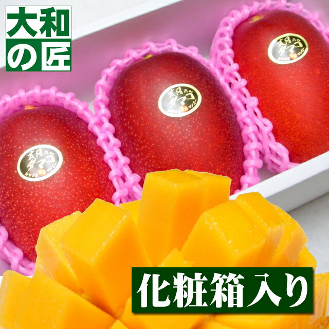 【順次発送可能★】とっておきのギフトにも最適★宮崎県産 完熟アップルマンゴー 太陽のタマゴ[中玉3個入り化粧箱] フルーツ 果物 マンゴー 完熟 高級 中元 お中元 御中元 入学 お供え 御供 ギフト 贈り物 プレゼント グルメのサムネイル