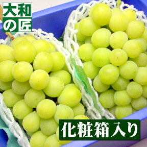 【8月下旬以降予定★】産地厳選 特選シャインマスカット[中房2房入り化粧箱]【売れ筋】 フルーツ 果物 くだもの ぶどう ブドウ 葡萄 中元 お中元 御中元 果物 ギフト 贈り物 プレゼント グルメ