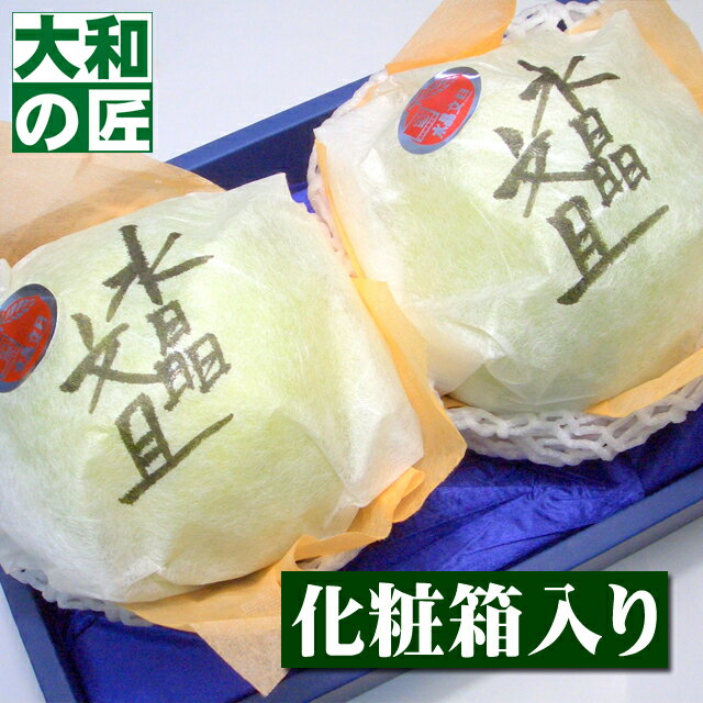 【順次発送可能★】高知県産 特選水晶文旦[2個入り化粧箱] 文旦 ザボン フルーツ 果物 お歳暮 御歳暮 歳暮 お供え お見舞い 内祝 ギフト 贈り物 プレゼント グルメ