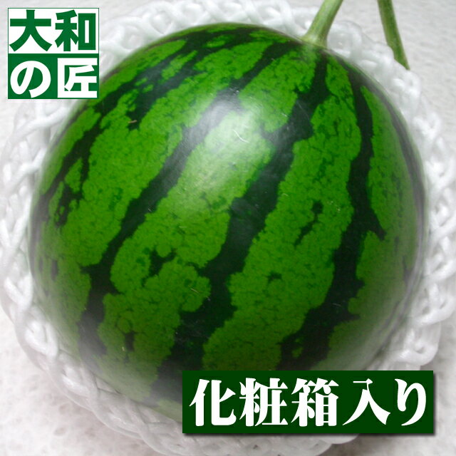 imgrc0090664422.jpg imgrc0090664422.jpg
