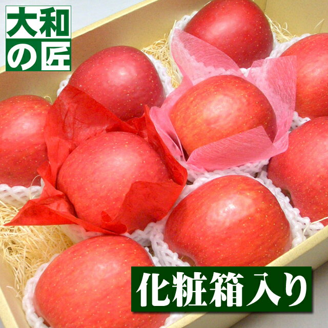 【12月上旬以降予定★】長野県産 サンふじ[9個入り化粧箱] お歳暮 御歳暮 ふじ リンゴ りんご 林檎 プレゼント ギフト グルメ 贈り物 贈答 進物
