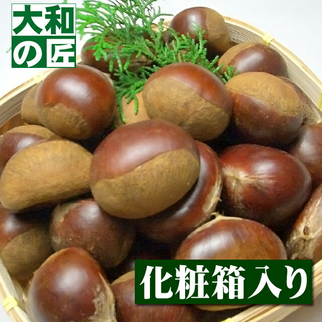【2023年シーズンが終了となりました】最高級生栗 利平栗[熊本県産 2Lサイズ2kg入り箱] 栗 生栗 和栗 ギフト 贈り物 プレゼント グルメのサムネイル