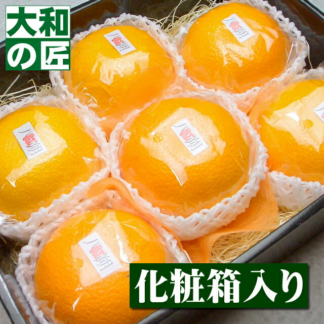 和歌山県産 紅八朔(はっさく)[6個入り化粧箱]【柑橘】【みかん】【お供え】【お見舞い】【内祝】【ギフト】【贈り物】【プレゼント】【グルメ】のサムネイル