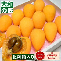 【4月下旬以降予定★】長崎県産 茂木びわ[Lサイズ12個入り]【売れ筋】 フルーツ 果...