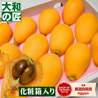 【4月下旬以降予定★】特殊な大サイズのビワ★長崎県産 茂木びわ[特大3Lサイズ12個入...