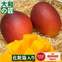 【順次発送可能★】宮崎県産 お試し完熟アップルマンゴー 中玉2個入り箱 【売れ筋】 フルーツ 果物 マンゴー 完熟 高級 母の日 母 義母 入学 お供え 御供 ギフト 贈り物 プレゼント グルメ