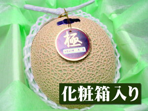 静岡県産 クラウンメロン[1個入り化粧箱]【メロン】【マスクメロン】【果物】【お供え】【お見舞い】【内祝】【ギフト】【贈り物】【プレゼント】【グルメ】【母の日】【母】【義母】