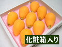 【4月末以降予定★ご予約】長崎県産 茂木びわ[2Lサイズ9個...