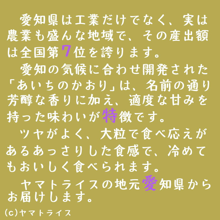 芳醇な香りと、適度な甘みを持った味わいが特徴　【新米】愛知県産あいちのかおり 20kg（5kg×4) 令和7年産工場直送 お米 米