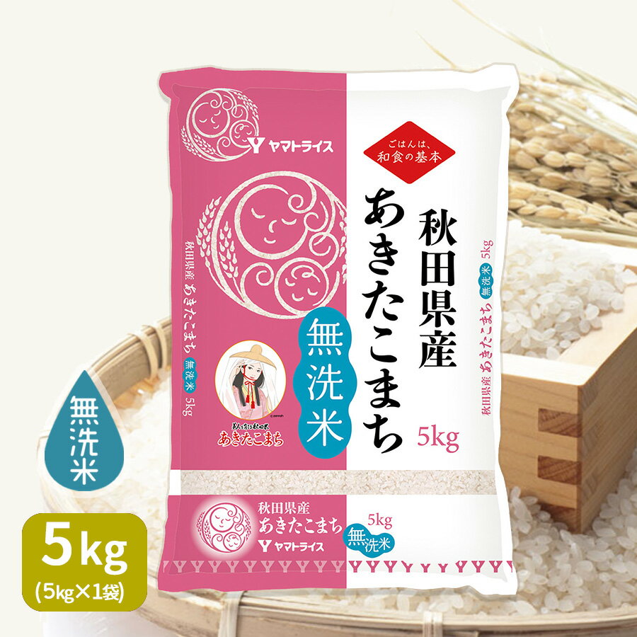 あきたこまち 無洗米 あきたこまち 秋田県産 5kg 令和5年産お試し ポイント消化 お中元 お歳暮 ギフト 贈答