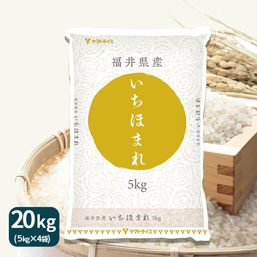 いちほまれ 福井県産 20kg (5kg×4) 令和5年産 