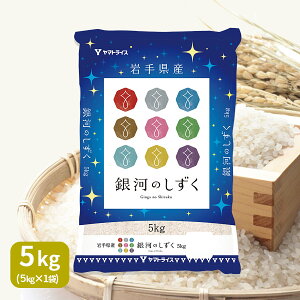 岩手県産 銀河のしずく 5kg (5kg×1) 令和6年産 白米 お米 お中元 お歳暮