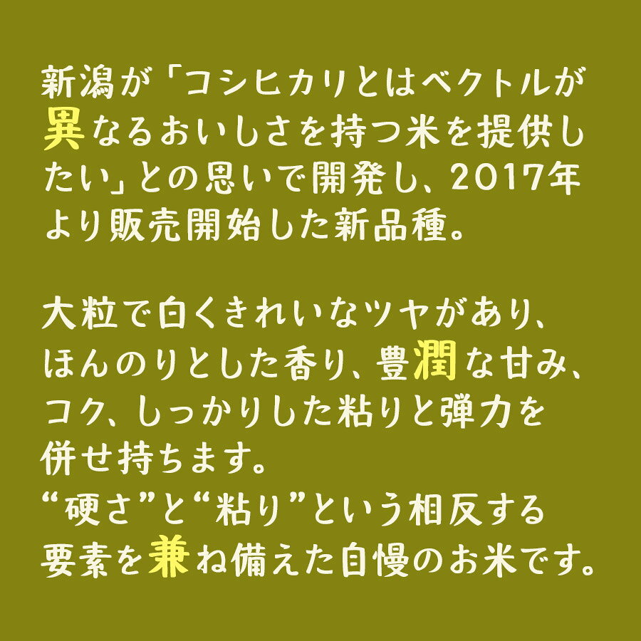ヤマトライスの新之助 新潟県産 4kg (2kg×2) 白米 令和7年産 スタンドパック 窒素充填お米 米 ギフト 贈答 お中元 お歳暮 熨斗｜アングル3