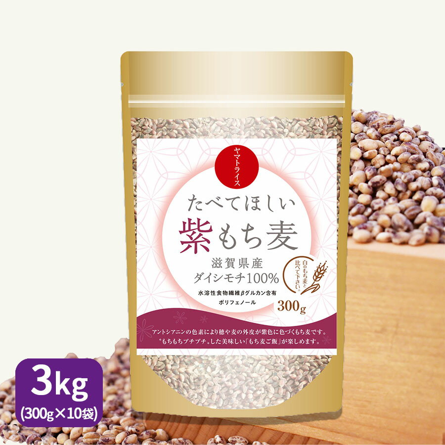 食べてほしい紫もち麦 3kg 300g 10袋 滋賀県産ダイシモチ 国産
