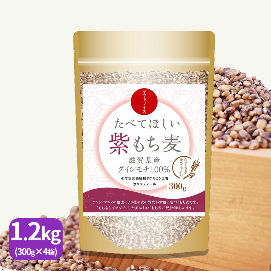 食べてほしい紫もち麦 1.2kg 300g 4袋 滋賀県産ダイシモチ 国産