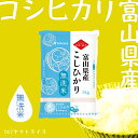 無洗米 富山県産コシヒカリ 10kg(5kg×2) 令和5年産ギフト 贈り物 お中元 お歳暮 お米 米 2