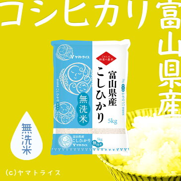 令和元年産 無洗米 富山県産コシヒカリ 20kg(5kg×4)ギフト 贈り物 お中元 お歳暮 お米 米