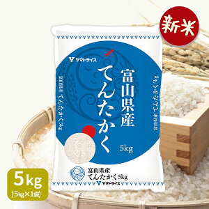 新米 富山県産てんたかく 5kg 令和3年産 米 お米