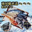 【とれたて鮮魚セット 2～4kg】 鮮魚ボックス 南房総 ...