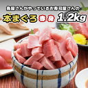 【本マグロ 赤身 1200g 1.2kg】 お徳用 本鮪 本まぐろ マグロ 鮪 まぐろ 天然マグロ 天然鮪 天然まぐろ 赤身 マグロ赤身 柵 サク 国産 冷凍 刺身 刺し身 お刺身 お刺し身 海鮮丼 マグロ丼 まぐろ丼 寿司 手巻き寿司 大容量 お取り寄せ