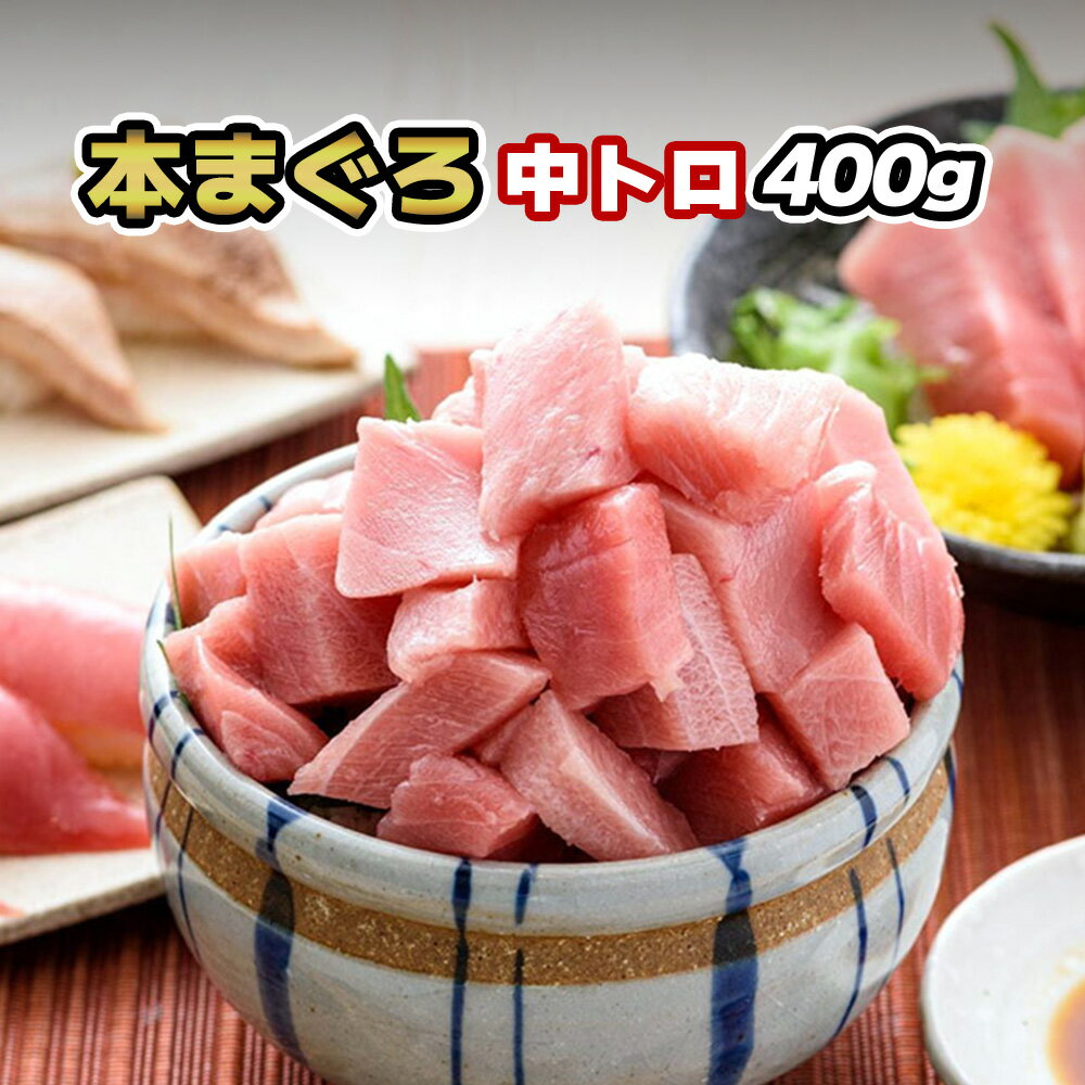 【本マグロ 中トロ 400g】中とろ 本鮪 本まぐろ 本マグロ マグロ 鮪 まぐろ 冷凍 刺身 お刺身 海鮮丼 マグロ丼 まぐろ丼 寿司 手巻き寿司 お徳用