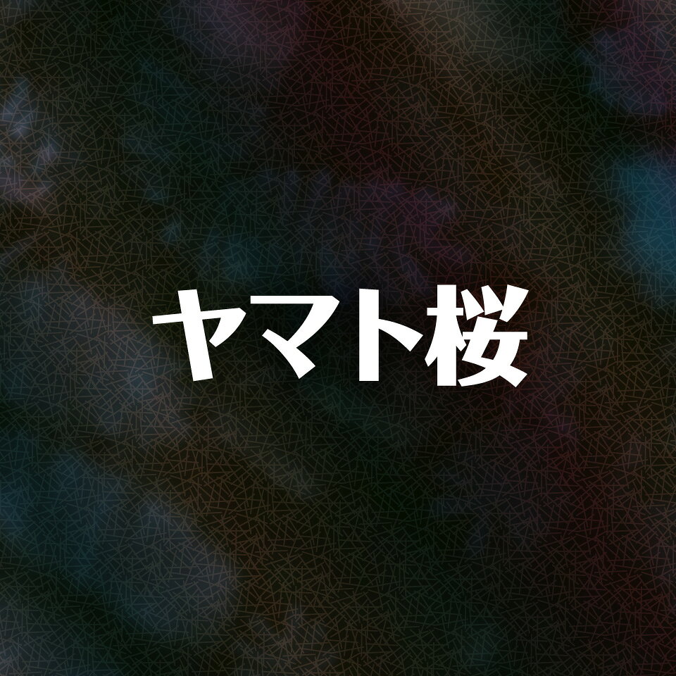 Shop icon