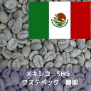 コーヒー生豆 メキシコ SHG クステペック農園 Qグレード 10kg 送料無料 コーヒー豆 自家焙煎 ギフト お中元 ドリップ