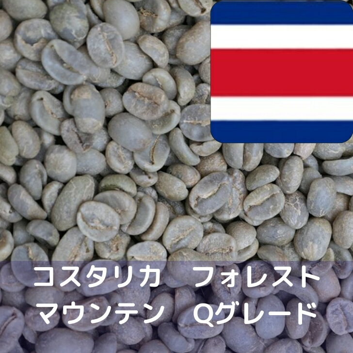 コーヒー生豆 コスタリカ フォレストマウンテン Qグレード 1kg 送料無料 コーヒー豆 自家焙煎 生豆 珈琲 未焙煎 自家焙煎用生豆 珈琲生豆 ギフト お中元 ドリップ あす楽