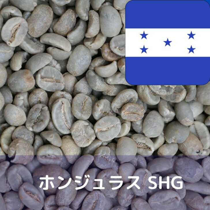 コーヒー生豆 ホンジュラス SHG 10kg 送料無料 コーヒー豆 自家焙煎 ギフト お中元 ドリップ