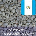 コーヒー生豆 グァテマラ アルタルス農園 Qグレード 1kg 送料無料 コーヒー豆 自家焙煎 ギフト お中元 ドリップあす楽