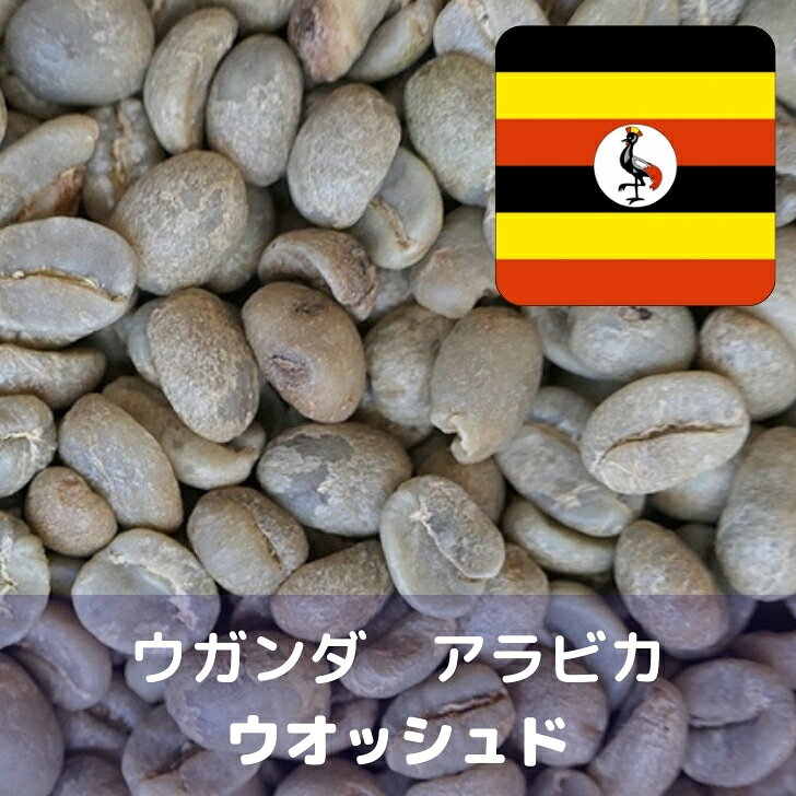 乐天商城 - コーヒー生豆 ウガンダ アラビカ ウオッシュド 1kg 送料無料 コーヒー豆 自家焙煎 ギフト お中元 ドリップ あす楽