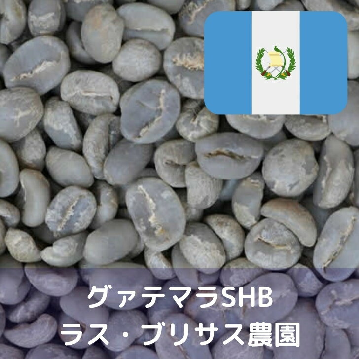 乐天商城 - コーヒー生豆 グァテマラ SHB ラス・ブリサス農園 1kg 送料無料 コーヒー豆 自家焙煎 ギフト お中元 ドリップ