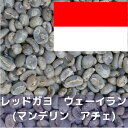 コーヒー生豆 レッドガヨ ウェーイラン (マンデリン アチェ) 1kg 送料無料 コーヒー豆 自家焙煎 生豆 珈琲 未焙煎 自家焙煎用生豆 珈琲生豆 ギフト お中元 ドリップ