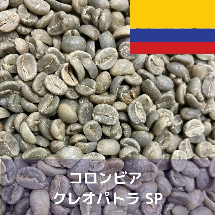 商品情報関連商品他にも様々なコーヒー生豆を取り扱っております。ぜひ、下の画像またはリンクより「各国のコーヒー生豆」をご確認ください！ コーヒー生豆の商品ページコーヒー生豆 コロンビア クレオパトラ SP 1kg 送料無料 コーヒー豆 自家焙煎 生豆 珈琲 未焙煎 自家焙煎用生豆 珈琲生豆 ギフト お中元 ドリップ コーヒー生豆をお届けします。 この商品は、「コロンビア クレオパトラ SP（ミランダ農園）」のリニューアル商品になります。かつては単一農園物として販売されておりましたが、ミランダ農園閉鎖に伴い終売の方向へ話が進められました。しかし、歴史ある「クレオパトラ」を終わらせるわけにいかないという声もあり、新たに商品化されることとなりました。まずは現地スタッフとの念入りなカップ摺合せに始まり、かつてミランダ農園が位置していたValle Del Cauca州北部のEl Aguila地区に絞り込みました。このエリアはアンデスからの風に育まれ、また昼夜の寒暖差によって、実の引き締まった良質なコーヒーが栽培されています。農園指定ではありませんが、登録農家から一粒ずつ手摘みで収穫されたチェリーを買付けし、カッププロファイルに基づき「クレオパトラ」が作られます。カップはシトラス系の酸味が特徴的で、コロンビアらしいボディー感も持ち合わせています。かつての味わいをそのままに、新しく生まれ変わった「コロンビア クレオパトラ」を是非お試し下さい。原産国 コロンビア生産地域 Valle Del Cauca州品種 Typica/Bourbon精製方法 水洗処理乾燥方法 天日乾燥標高 1700m-1800m 2