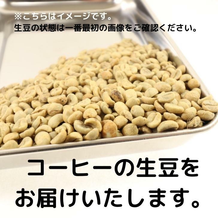 【本日ポイント5倍】コーヒー生豆 スイスウォーター式 カフェインレス ブラジル 10kg 送料無料 コーヒー豆 自家焙煎 ギフト お中元 ドリップ