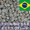 コーヒー生豆 ブラジルNo2 S17/18 カルモデミナス Qグレード 1kg 送料無料 コーヒー豆 自家焙煎 生豆 珈琲 未焙煎 自家焙煎用生豆 珈琲生豆 ギフト お中元 ドリップ あす楽