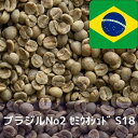 コーヒー生豆 ブラジルNo2 セミウオシュド S18 1kg 送料無料 コーヒー豆 自家焙煎 ギフト お中元 ドリップ あす楽